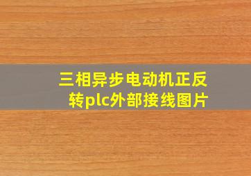 三相异步电动机正反转plc外部接线图片