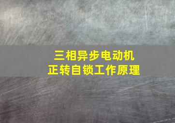 三相异步电动机正转自锁工作原理