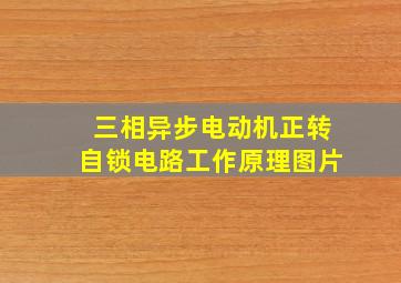 三相异步电动机正转自锁电路工作原理图片