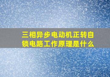 三相异步电动机正转自锁电路工作原理是什么