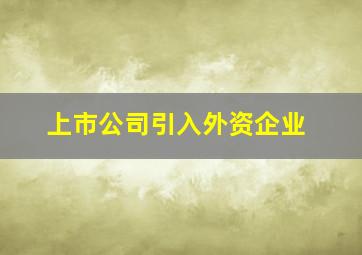 上市公司引入外资企业