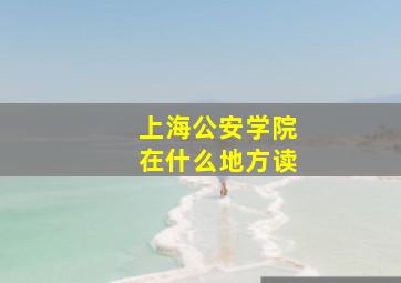 上海公安学院在什么地方读