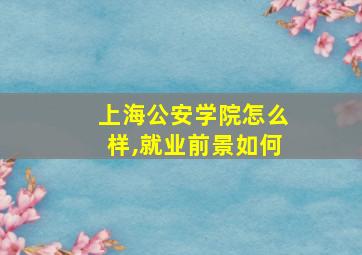 上海公安学院怎么样,就业前景如何