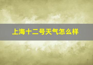 上海十二号天气怎么样