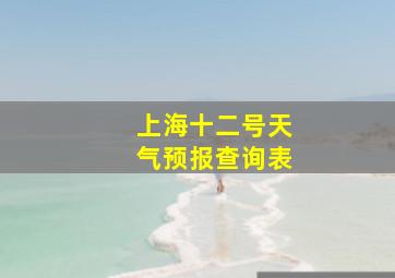 上海十二号天气预报查询表