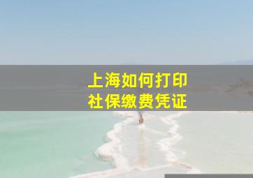 上海如何打印社保缴费凭证