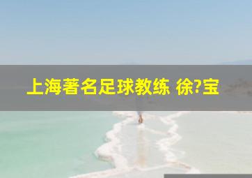 上海著名足球教练 徐?宝