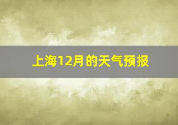 上海12月的天气预报