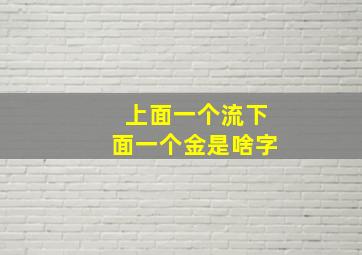 上面一个流下面一个金是啥字