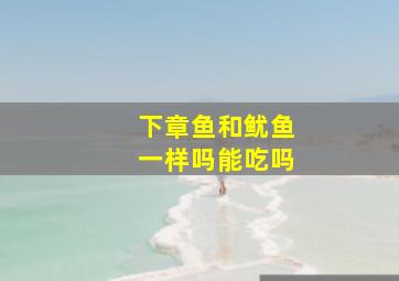 下章鱼和鱿鱼一样吗能吃吗