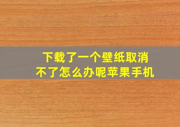 下载了一个壁纸取消不了怎么办呢苹果手机