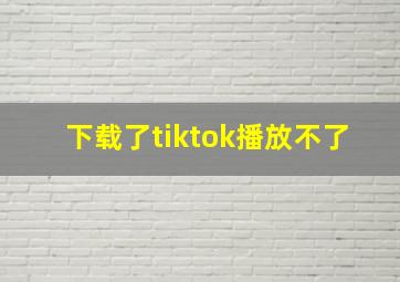 下载了tiktok播放不了