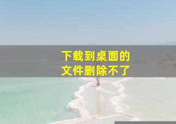 下载到桌面的文件删除不了