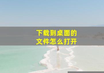 下载到桌面的文件怎么打开