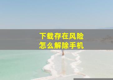 下载存在风险怎么解除手机