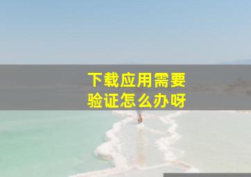 下载应用需要验证怎么办呀