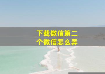 下载微信第二个微信怎么弄