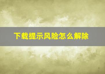 下载提示风险怎么解除