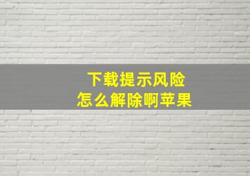 下载提示风险怎么解除啊苹果