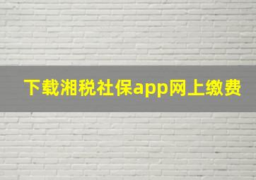 下载湘税社保app网上缴费