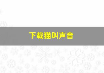 下载猫叫声音