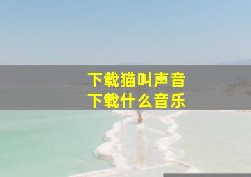 下载猫叫声音下载什么音乐