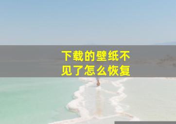 下载的壁纸不见了怎么恢复