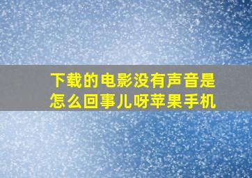 下载的电影没有声音是怎么回事儿呀苹果手机