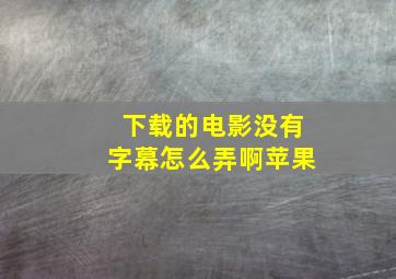 下载的电影没有字幕怎么弄啊苹果