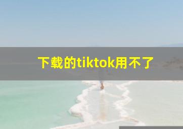 下载的tiktok用不了