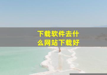 下载软件去什么网站下载好