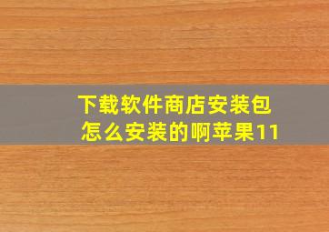 下载软件商店安装包怎么安装的啊苹果11