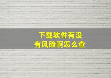 下载软件有没有风险啊怎么查