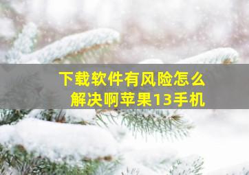 下载软件有风险怎么解决啊苹果13手机