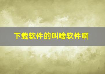 下载软件的叫啥软件啊