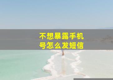 不想暴露手机号怎么发短信