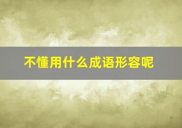 不懂用什么成语形容呢