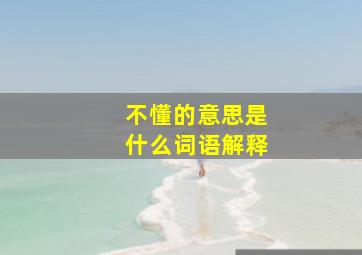 不懂的意思是什么词语解释