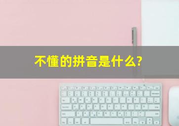 不懂的拼音是什么?