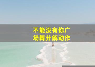 不能没有你广场舞分解动作