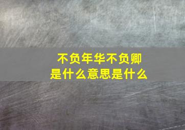 不负年华不负卿是什么意思是什么