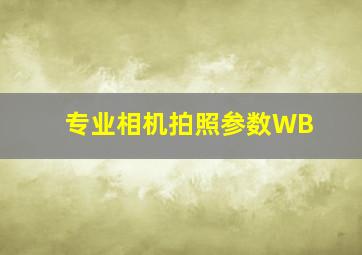 专业相机拍照参数WB