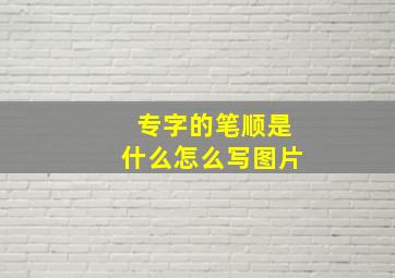 专字的笔顺是什么怎么写图片