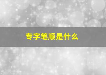 专字笔顺是什么