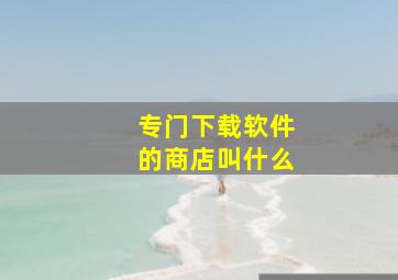 专门下载软件的商店叫什么