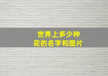 世界上多少种花的名字和图片