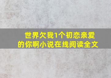 世界欠我1个初恋亲爱的你啊小说在线阅读全文