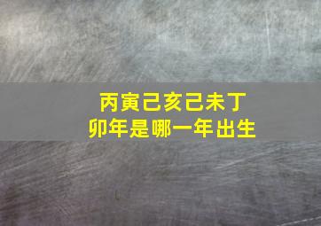 丙寅己亥己未丁卯年是哪一年出生