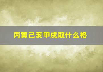 丙寅己亥甲戌取什么格