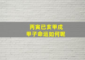 丙寅已亥甲戌甲子命运如何呢